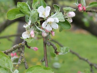 Secluded Apartment In B�rgerende-rethwisch With Sauna