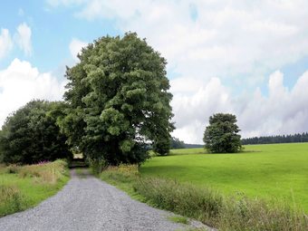 Modern Apartment In The Sauerland Region With Private Balcony