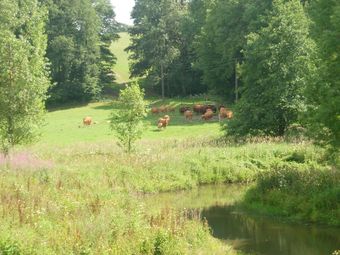 House Adjoining Mansion For A Pleasant Stay In The Region Of Chimay