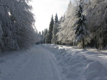 Spacious Apartment Near Ski Area In Meschede Germany