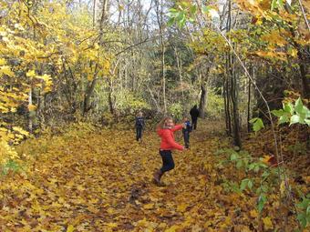 A Spacious House In A Quiet Location On A Quiet Street, On The Edge Of A Nature Park