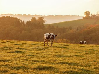 Holiday Home In Auvergne With Roofed Garden And Terrace