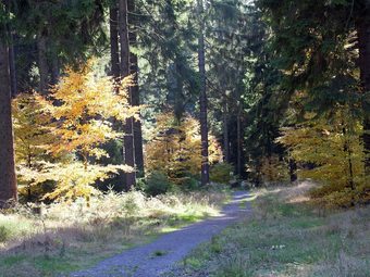 Cozy Apartment In Kerpen With Garden