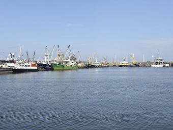 Apartment In A Unique Location Within Walking Distance Of The Wadden Sea