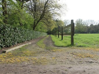 Spacious Holiday Home Near Forest In Peer