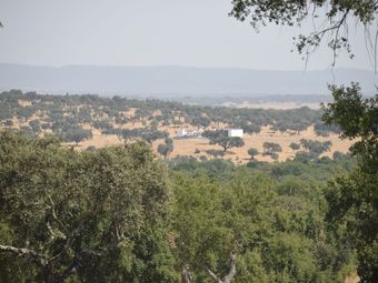 Villa A Comfortable Holiday Home With Private Swimming Pool, Tranquility And Privacy