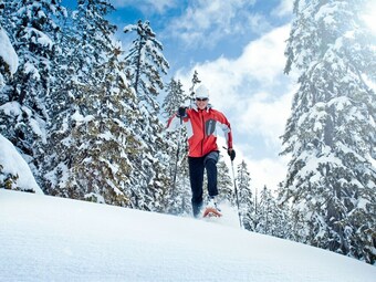 Modern Chalet With Jacuzzi In Krimml