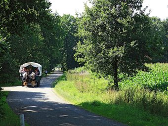 Peaceful Holiday Home In Wesepe With Garden