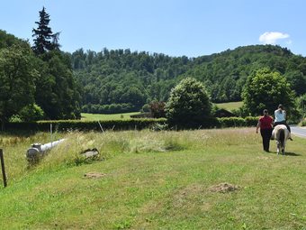 Delicate Apartment In H�ddingen With Terrace