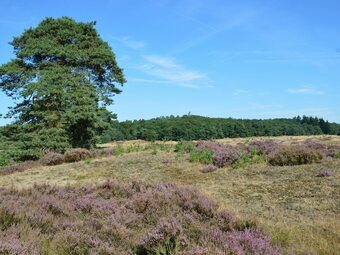 Pleasant Chalet With A Beautiful Private Garden Featuring Two Terraces
