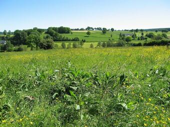 Lovely, Detached House