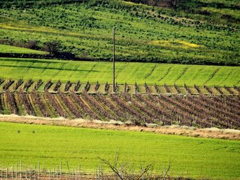 Charming Village House With Swimming Pool, Within Walking Distance Of Bakery, Restaurants And River