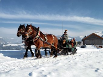 Large Apartment In Maria Alm With Terrace
