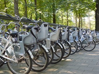 Charming Holiday Home In Garderen With Garden