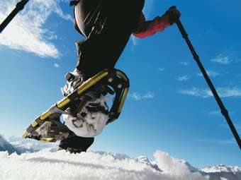 Apartment In Sankt Gallenkirch Near Ski Area