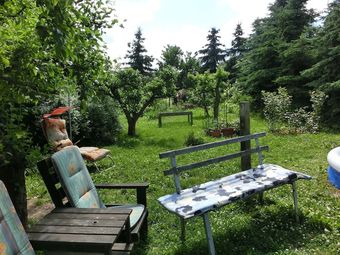 Gorgeous Holiday Home In Cattenstedt Harz With Terrace