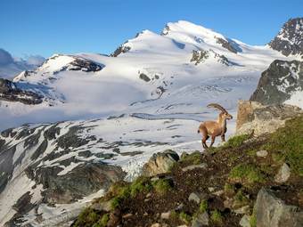 Very Open Chalet With Comfortable And Rustic D�cor