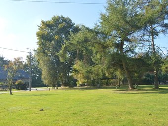 Large And Cozy Home On The Edge Of The High Fens And The Crosscountry Ski Tracks