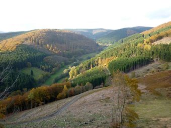 Serene Apartment Near Ski Area In Hesborn