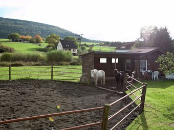 Cozy Holiday Home In Wallenborn With Garden