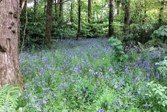 Apartamento 5 Luxury Shepherds Hut Mobile Home