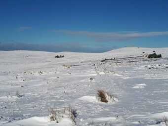Dartmoor Barn On North Hessary Tor