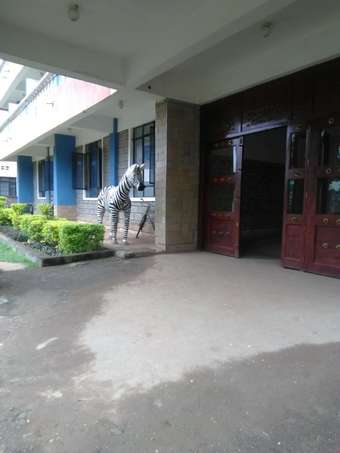 Hotel Zebra Resort And Spa