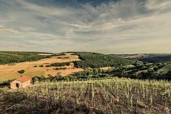 Hotel Landgasthof Zum J�ger Aus Kurpfalz