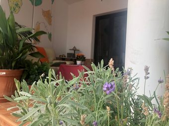 Hotel Habitaciones En Almonte