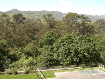 Bed & Breakfast La Arboleda Habitaciones