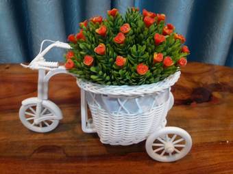 Hotel Sweet Home Villa