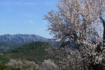 Hotel Gite Saint Roch