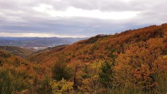 Agroturismo Cannabis Clinic & Restaurant