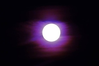 Studio In Ericeira, With Terrace - 200 M From The Beach