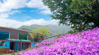 Kkoristar Pool And Spa Pension