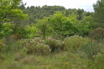 Apartment With One Bedroom In Grambois, With Pool Access, Enclosed Garden And Wifi