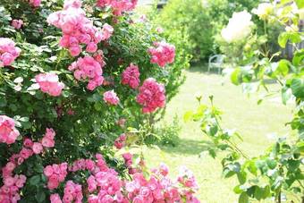 Apartamentos Ferienwohnung Alex