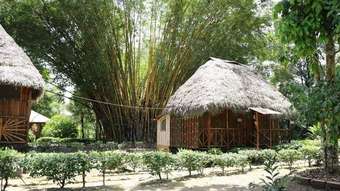 Bed & Breakfast Isla Ecol�gica Mariana Miller