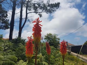 Apartment With 2 Bedrooms In Campanario, With Pool Access, Furnished Terrace And Wifi - 5 Km From The Beach