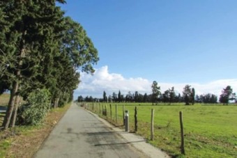 House With One Bedroom In Al�ria, With Pool Access, Enclosed Garden And Wifi