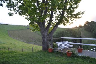 Hostal Alarpe Aterpetxea - Hostel