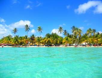 Apartamento Studio In Sainte Anne, With Pool Access, Enclosed Garden And Wifi