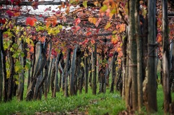 Hotel ?pacapanova Hi?a