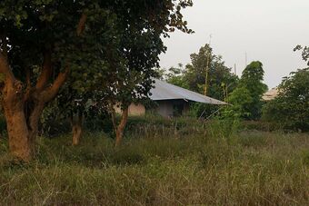 Hotel Aamod Bagh Tola Lodges - Bandhavgarh