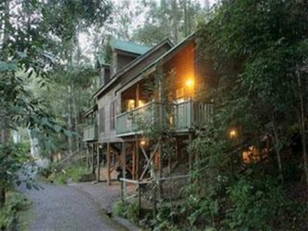 Barrington Wilderness Cedar Lodge Accommodation