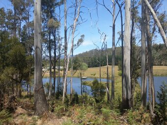 Hotel Quamby Pines B&B Accommodation