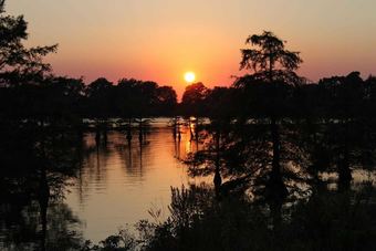 Hotel Days Inn By Wyndham Lake Village