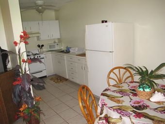 Hotel Eldemire's Tropical Island Inn