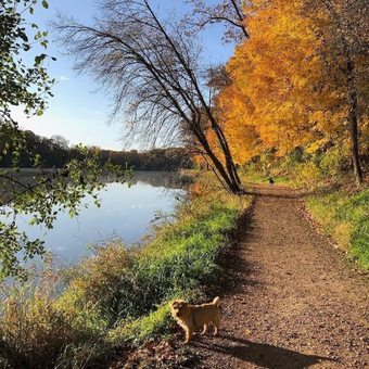 Oak Ridge Hotel And Conference Center
