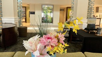 Hotel Hilton Garden Inn Daytona Beach Oceanfront